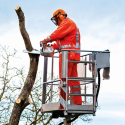 Pilarka STIHL MS 201 TC-M Mocna pilarka do pielęgnacji drzew z M-Tronic